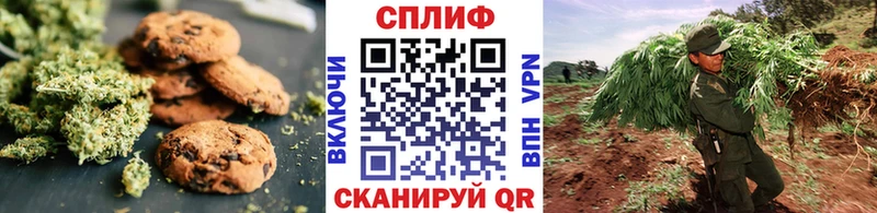 Купить закладки  Балей  Еда ТГК конопля 