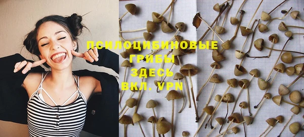 МДМА Каменск-Шахтинский