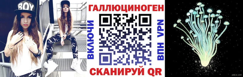 Псилоцибиновые грибы Cubensis  Купить закладки  Балей 